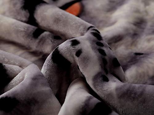 Hiyoko White Tiger Throw Velvet 75" By 90" Blanket, Cloudy Dream Animal. Warm For Bed, Sofa, And Couch. Less Fuzz, Almost Lints-Free, No Shedding #TOP3