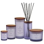 Chesapeake Bay Candle Medium Jar Scented Candle Serenity + Calm (Lavender Thyme) Home Décor Orange Gifting Idea Burn Time of 50 Hours - Image 3