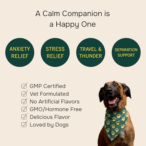 Image of PetMeds Calm Supplement for Dogs - Anxiety & Stress Relief with Vitamins, Theanine & Lemon Balm - Supports Dogs During Travel, Thunder & Separation - Beef & Sweet Potato Flavor - 60 Soft Chews