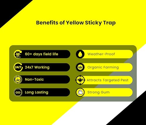 Image of Chipku A5 Yellow Sticky Trap for Insects Pack of 50 Sheets| for Garden & Agriculture to Control Whiteflies, Aphids, Thrips, Jassids| Fly Catcher Insect Catcher Glue Trap for 100% Results