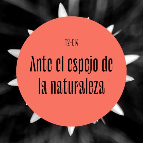 『43 | Ante el espejo de la naturaleza - [En vivo - D&iacute;a Internacional del Yoga]』のカバーアート