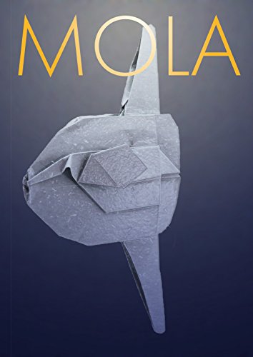 Mola 折紙創作集団スクエア 森澤碧人 工芸 クラフト Kindleストア Amazon