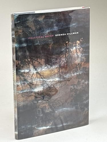 Practical Water (Wesleyan Poetry Series)