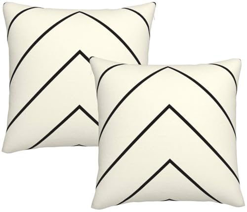 DATANSEN Pack of 2 Velvet Decorative Throw Pillow Covers, 18x18