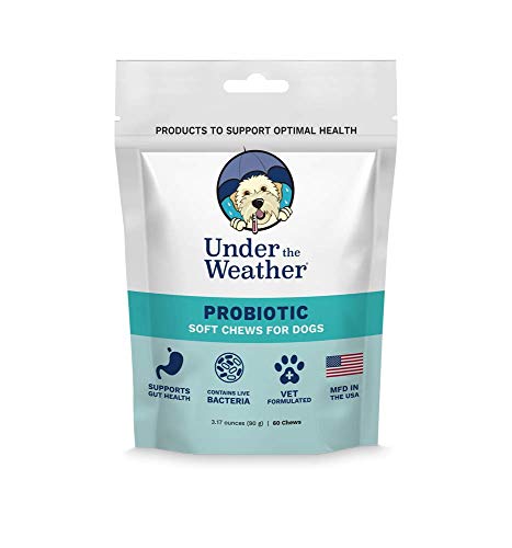 Under the Weather Pets | 60 Soft Dog Chew Supplements with Probiotics | Supports Appetite & Digestion to Help Maintain Health & Right Balance of Beneficial Live (Viable) Bacteria in Gut