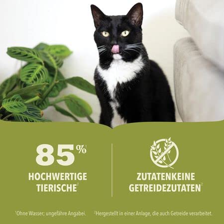 Acana Cat Premium Pâté Salmon & Chicken | 24 x 85 g | 100 % natürliches Nassfutter mit viel tierischem Protein für ausgewachsene Katzen | Ohne Konservierungsstoffe