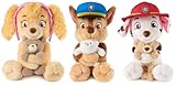 Paw Patrol GUND Skye with Kai Teddy Bear, Official Skye Plush Toy, Dog Stuffed Animal for Ages 1 and Up, 24 cm - Image 7
