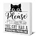 Funny Cat Bathroom Decor - Bathroom Sign - Put the Lid down the Cat Has a Drinking Problem Wood Sign Home Restroom Desk Shelf Table Tabletop Decorations 5×5 Inches