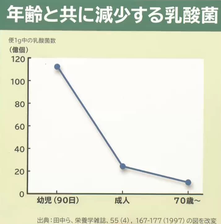✨賞味期限2028年2月18日✨ダイエタリーF 新品未開封3本 乳酸菌ダイエット ✨賞味期限2028年2月18日✨ダイエタリーF 新品未開封3本 乳酸菌