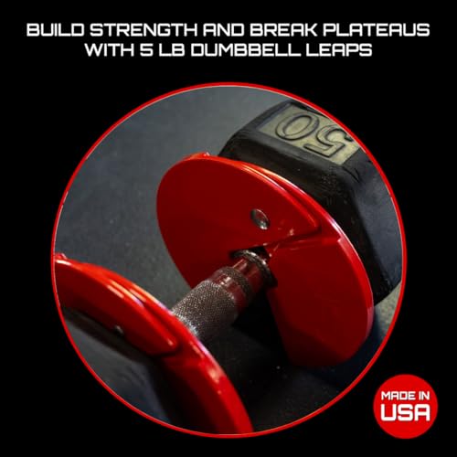 Image of Micro Gainz 2.5LB Dumbbell Fractional Weight Plates, 2-Piece