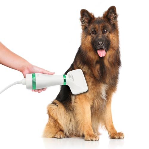 Secador Portátil 2 em 1 para Banho e Tosa de Cães e Gatos Profissional