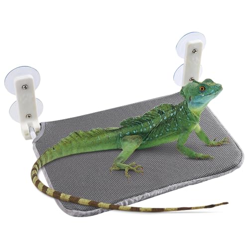 Lit lézard ventouse : le hamac pliable idéal pour la fenêtre de votre reptile