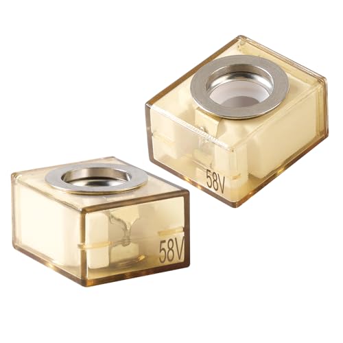 Gloso 50A Flachsicherung Zündgeschützt 2 Stück