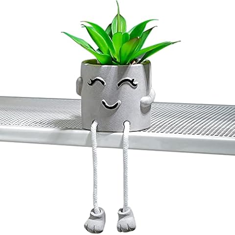 SZHTSWU Artificial Potted Plant Small Cute Fake Succulent Plant Hanging Leg with Cement Potted, Faux Plants Decor for Desk Shelf Bedroom Living Room Office Home Decoration (Squinting) Cover