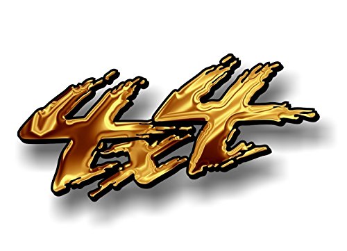 2-4x4 Liquid Gold Print Vinyl 13