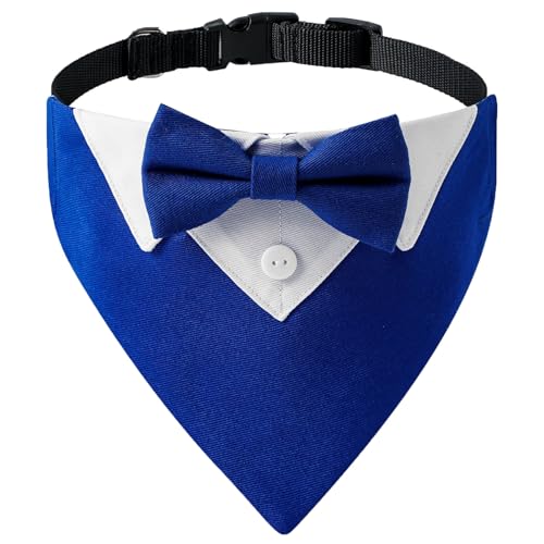 ���̃^�L�V�[�h��� - �R�b�g�� 18x13cm |�_�炩�����y�b�g�̎�փo���_�i�A���q�̌������̒��l�N�^�C�� �l�b�N�X�J�[�t�t�� |�p�[�e�B�[�⌋�����̒��^�������^���p�̃G���K���g�ȃt�H�[�}���A�N�Z�T���[