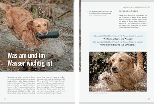 Dummy-Training - mehr als Apportieren: Team werden - Herausforderungen meistern - Leichtigkeit finden