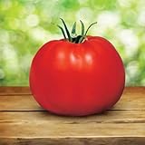 Park Seed Variety of Tomato Seeds, Planting Vegetables, Easy to Grow, Non-GMO, Perfect for Harvesting, Whopper CR Improved Hybrid, Pack of 30