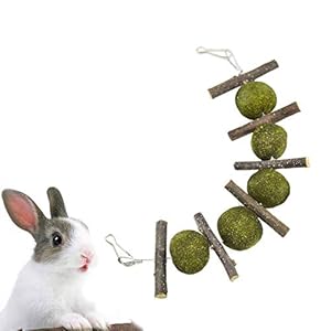 YUEMING Pet Tanden Reinigen Kauwspeelgoed, Appelhout Sticks met Natuurlijke Eetbare Gras Bal, Pet Snacks Treats voor…