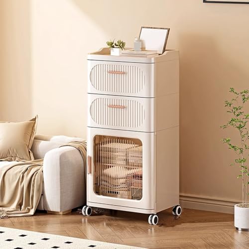 [SDS] rO `FXg  B 4i [ {bNX t ߗ ߑ h[ P[X ^X vX`bN[{bNX LX^[t [Ƌ N[[bg vX`bN o ^Cv2 s30 [{bNX [