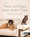 Hund und günstig Kaufen-Hund und Katze unter einem Dach: So klappt das Zusammenleben