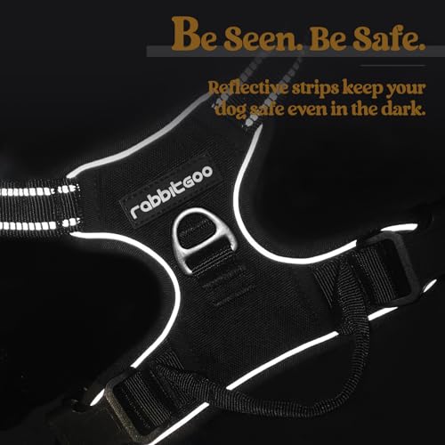 rabbitgoo No-Pull Dog Harness & Leash Set (Black, Medium) — view 7