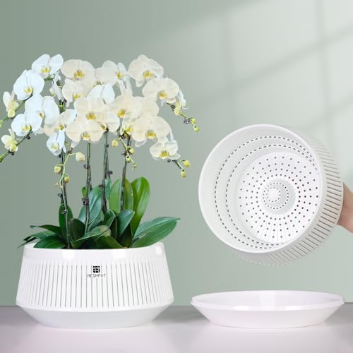 Meshpot Orchid Pots with Holes for Repotting Decorative Orchid Planter with Air-Pruning and Good Air Circulation Plastic White Orchid Container with Saucers 21 cm Set of 1