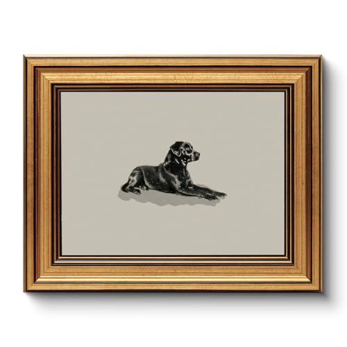Image of HUARCEY Gold Framed Vintage Wall Art Black Dog Wall Decor Minimalist Animal Art Pictures Room Decor Dog Lovers Gifts Modern Canvas Prints Shelf Artwork for Bedroom Bathroom Living Room 8x10in