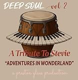  Deep Soul, Vol 2 - A Tribute To Stevie, Adventures In Wonderland
