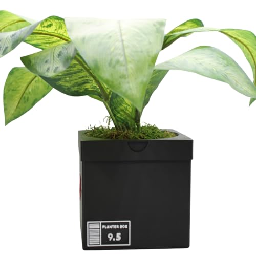 Sneakers Box Planter Pot 3D Printed - Sneakers Box Decor - Plant Pot for Indoor Plants - Unique Planter for Indoor with Drainage Hole - Made in USA