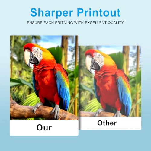 Goadper Eco Solvent Tinte Reinigungslösung Druckköpfe Reinigungslösung 250-ml für Eco Solvent Tinte für Roland Mimaki Mutoh XP600 TX800 DX5 DX7 DX4 DX9 DX10 DX11 L1800 R1390 I3200 （1 Pack）