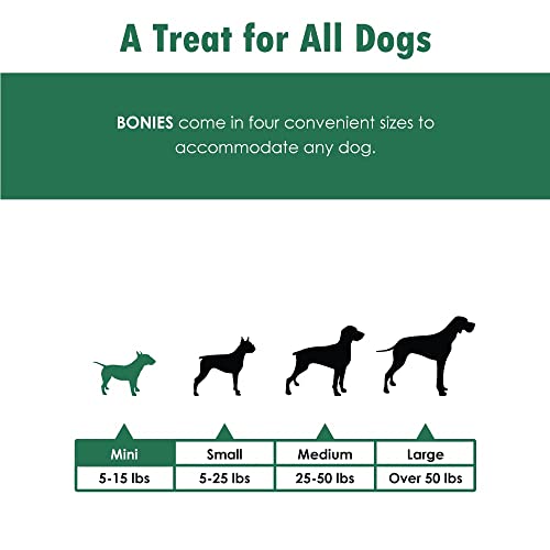 Bonies Skin And Coat Treats For Dogs, Promote Silky Coat And Healthy Skin, Healthy Teeth & Fresh Breath, Low Calories - Chicken Flavor, Mini, 240 Bone #TOP4