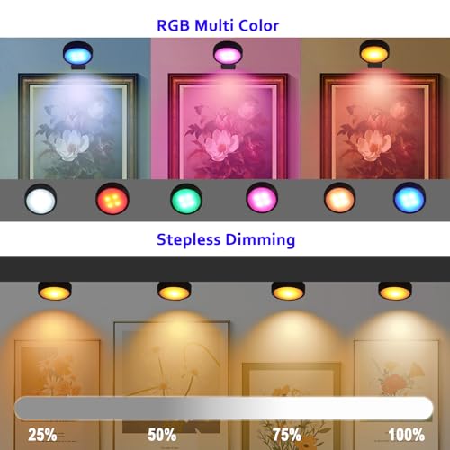 Image of Battery Operated Picture Light, Puck Lights with Remote, Picture Lights for Wall, Picture Frame Lights with 20 Color Changing, Wireless Magnetic Art Light for Accent, Paintings-Black