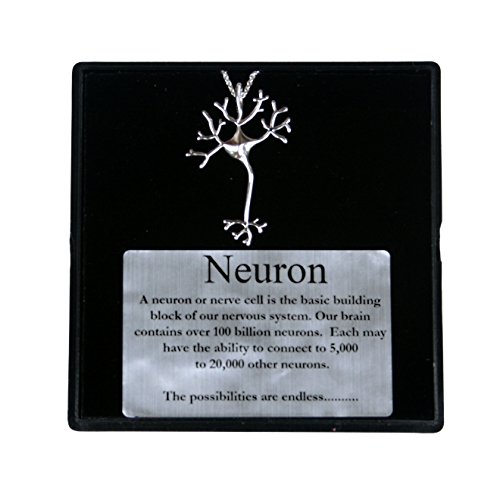 Sterling Silver New Neuron Necklace