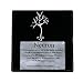 Sterling Silver New Neuron Necklace