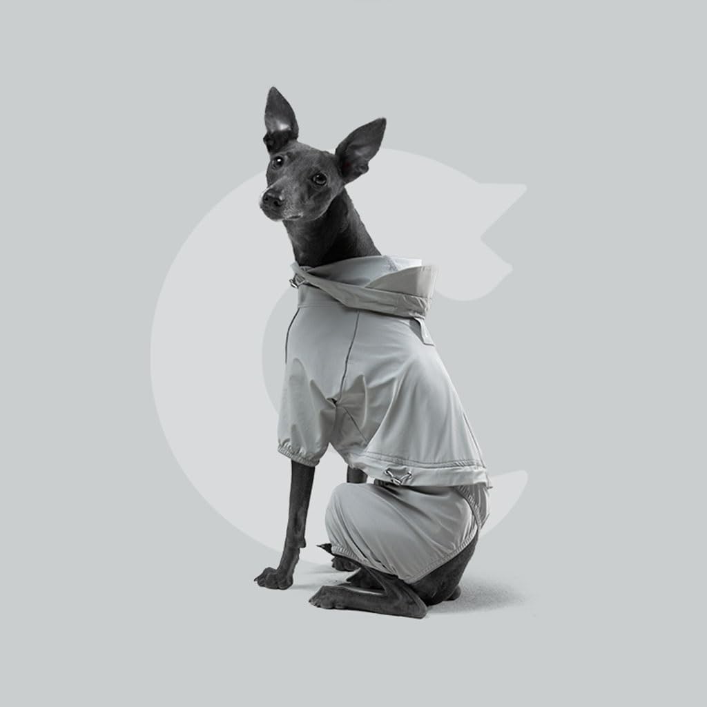 Chien Raincoat Imperméable Chiot Imperméable avec bande réfléchissante et quatre jambes, capuche et manteau assorti (Couleur : A1, Taille : S)