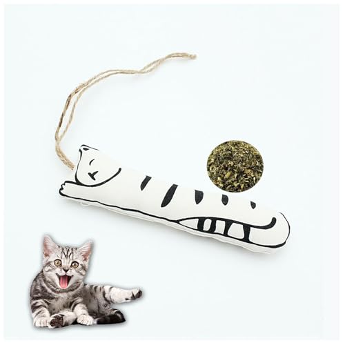 L̂ ̌`̂ L̃~g т L̖_炩 oĂ y  ^L̂C^NeBu    }ɘa NȔL̂ Sȍގ ̃AEghA P 