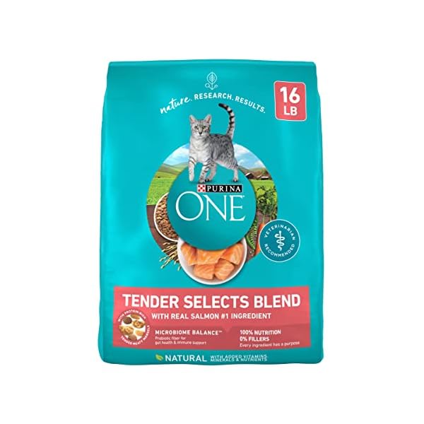 Purina ONE Dry Cat Food, Salmon & Tuna Flavor, 16-Pound Bag by