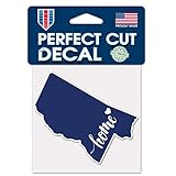 WinCraft Destination Mississippi State/Mississippi Perfect Cut Color Decal 4