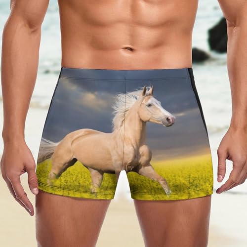 Swimming trunks confortable et résistant au chlore pour homme - 5