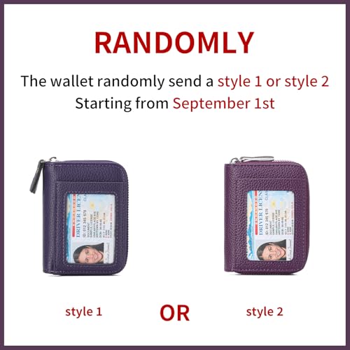 Image of RNIEGA Credit Card Holder Wallet RFID Blocking Leather Small Wallet for Women Double Zipper Wallet with ID Window