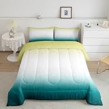 Feelyou Ombre Comforter Set Full Size Kids Botanical Floral Printed Comforter for Boys Girls Teens Yellow and Teal Bedding Set Modern Duvet Set Abstract Art Design Quilt