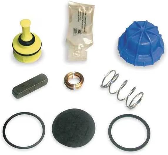 Foot Valve Repair Kit, 2 in, Plastic, Mfr: S65-230-A