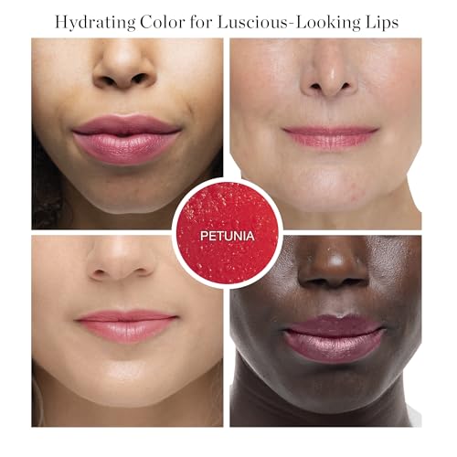 Ogee Tinted Sculpted Lip Oil - Lip Stain Made with 100% Organic Coconut Oil, Jojoba Oil, and Vitamin E - Best as Lip Balm, Lip Color or Lip Treatment - PETUNIA (Sheer Blush) - Image 3