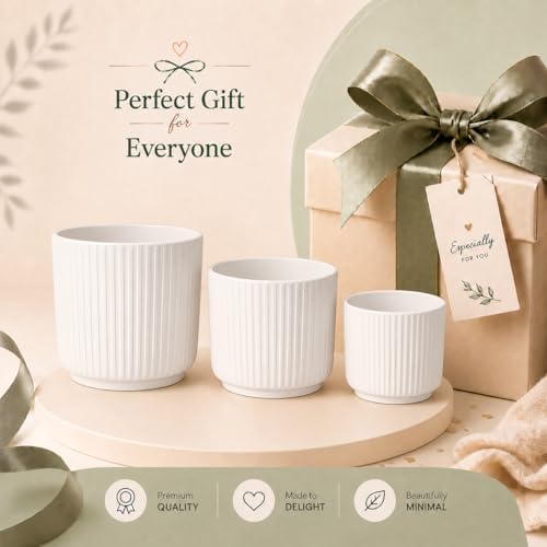 Image of Xtore Studio Ceramic Ribbed Planter Set | Vertical Groove Plant Pots for Home, Office, Balcony & Living Room Decor - (Set of 3, White, Planter ONLY)