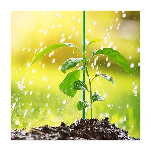 JOSUR Bastoncini di Supporto for Piante Floreali in bambù Verde, 20 Pezzi, for Fissare Le staffe della Pellicola della Serra e collegare i Pali in Legno for Piante.