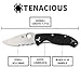 Spyderco Tenacious Folding Pocket Knife with 3.3