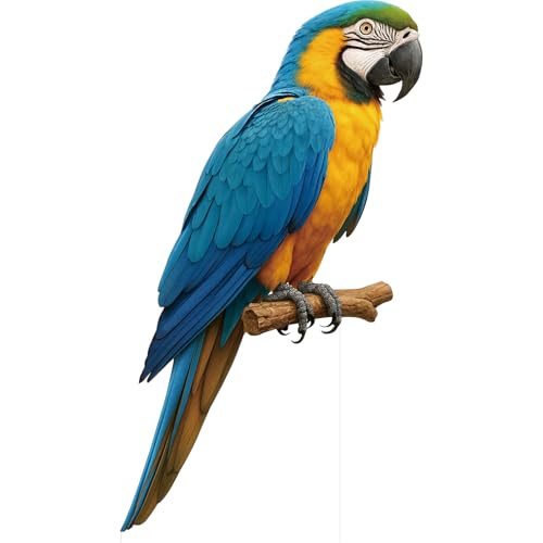 Image of Parrot Life Size Cardboard Cutout, 4FT, 1 PC, Party Decor | Animal Standup for Events, Birthday, Photos, Home Decor, Photo Booth, Office, Classroom, and More, All Occasions