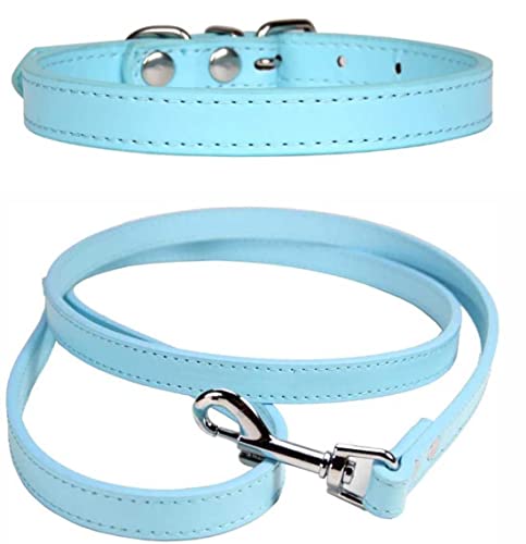 Vibrant Leather Dog Collar & Lead Combo Set for Puppy Dogs Small, Medium & Large (X-Large (45cm - 55cm Neck), Baby Blue) - Image 2