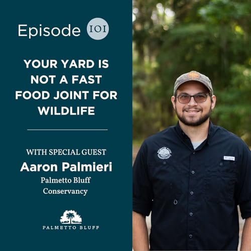 Your Yard Is Not A Fast Food Joint For Wildlife | Aaron Palmieri